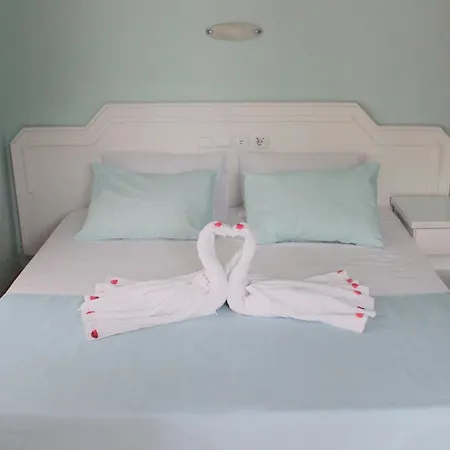 Turtle Apart 2* فتحية