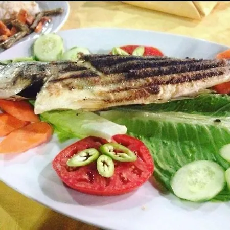 Turtle Apart شقة فندقية 2*