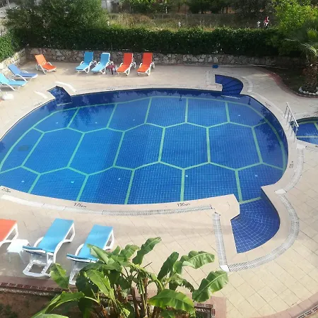 Turtle Apart 2* فتحية