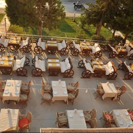 Turtle Apart 2* فتحية