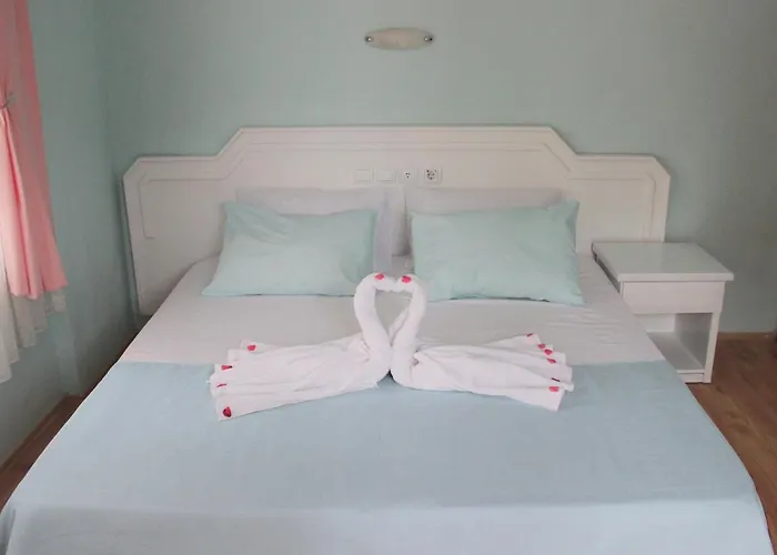 Turtle Apart 2* Фетхие