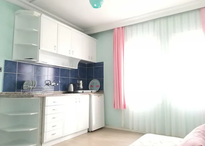 Turtle Apart Апарт-отель 2*